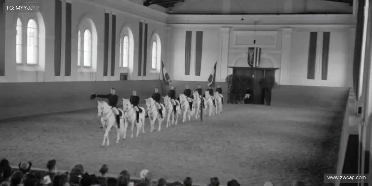 热血直播，永不间断！🔥