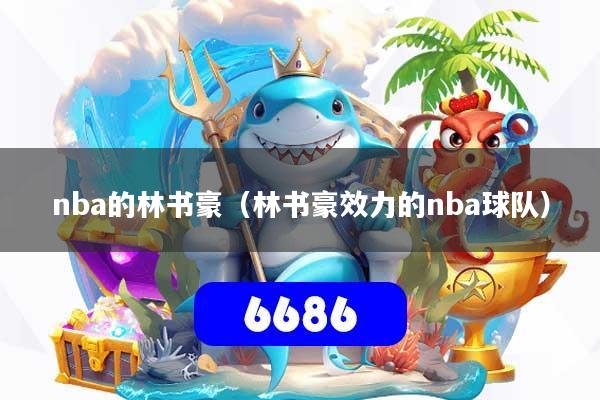 nba的林书豪（林书豪效力的nba球队）